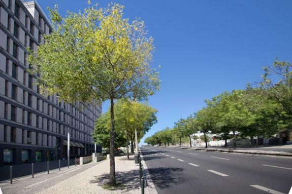 Apartment In Entrecampos